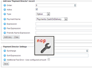 Picture of Professional Services for Payment Director